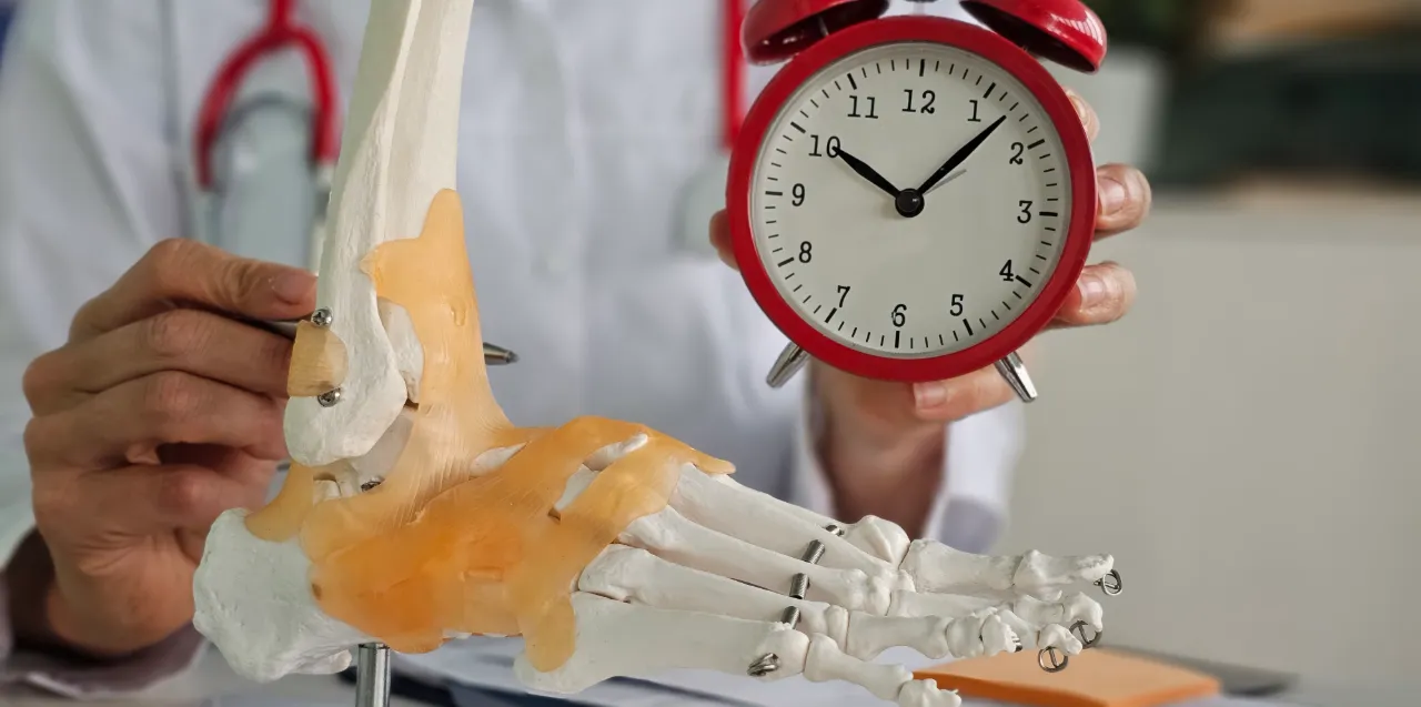 Doctor holding an anatomical model of the foot and a clock