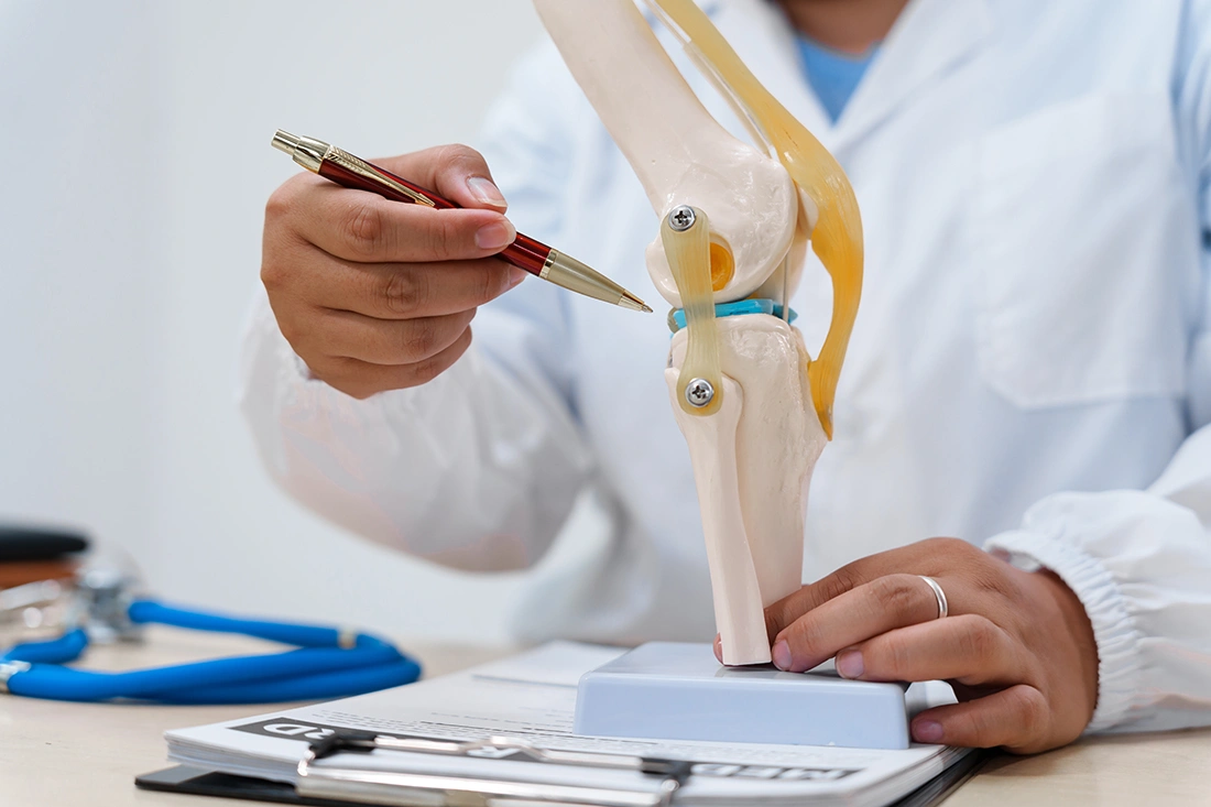 A doctor referring to a model of the human knee during a knee pain consultation