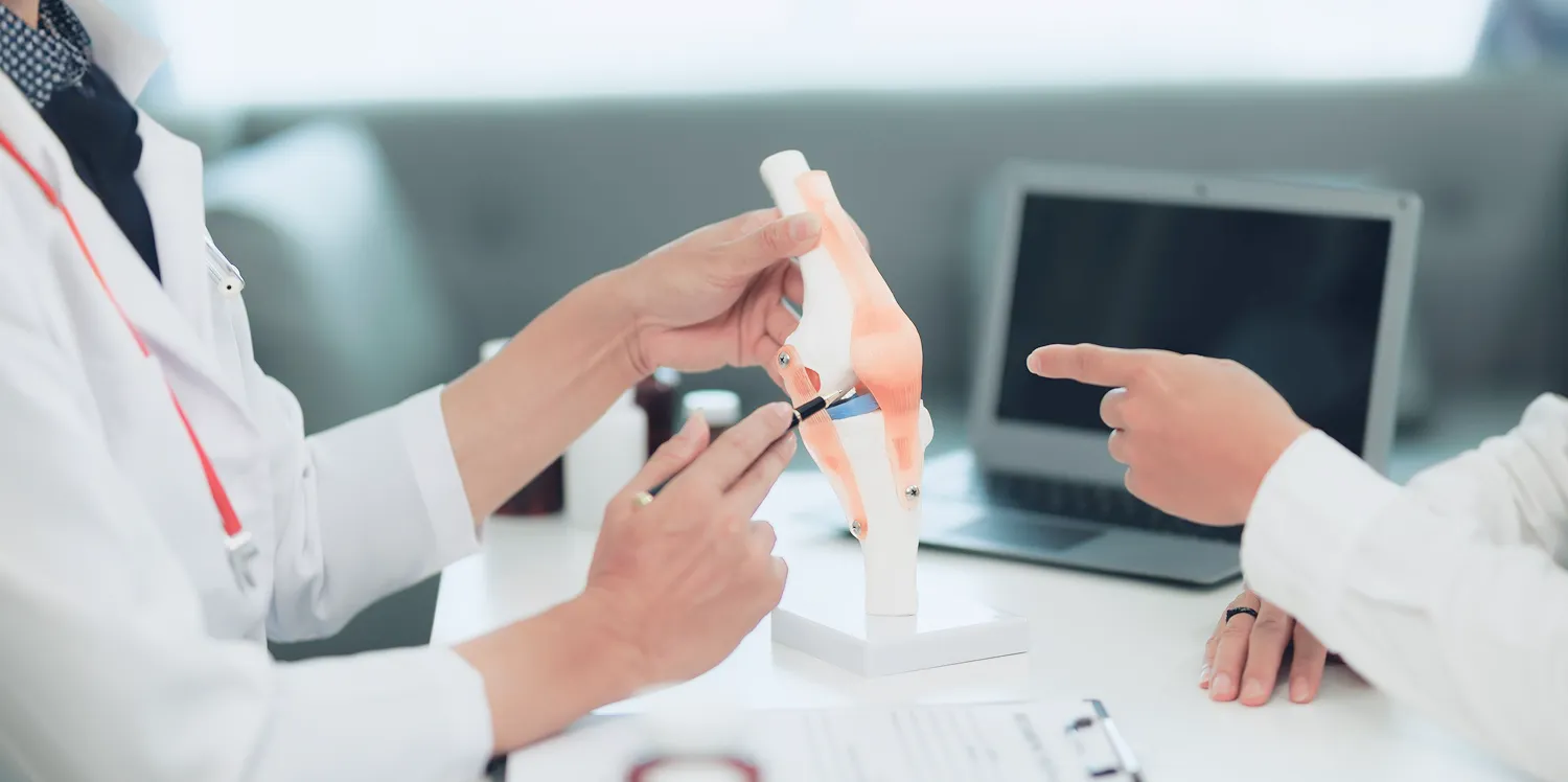 An orthopaedic specialist explaining knee joint anatomy using an anatomical model during a patient consultation