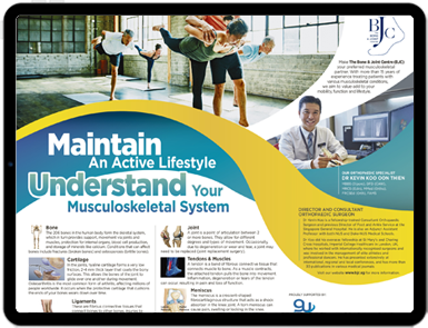 Maintain An Active Lifestyle Understand Your Musculoskeletal System